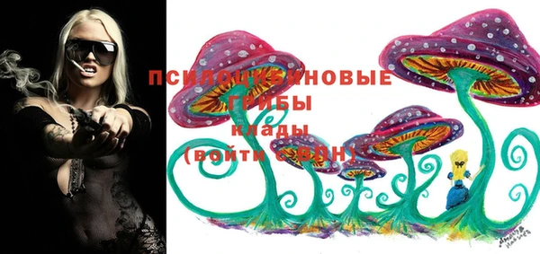 сатива Алексин