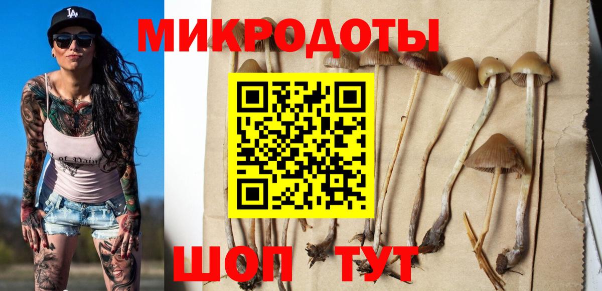Лянтор  Галлюциногенные грибы мухоморы  Вход с VPN 