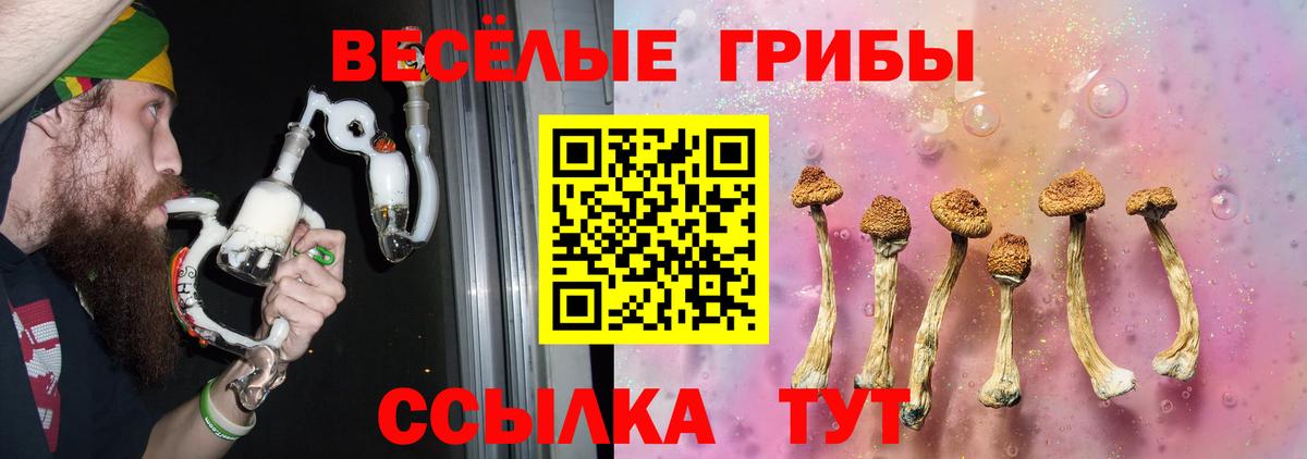 Галлюциногенные грибы Cubensis Лянтор